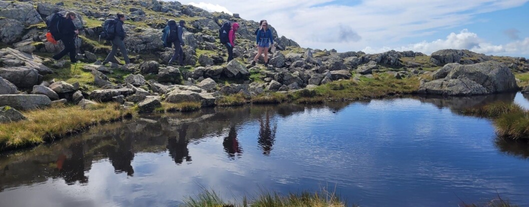 TrekCO mid page image banners